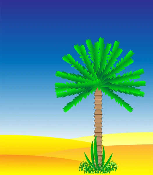 Palmier dans le désert — Image vectorielle