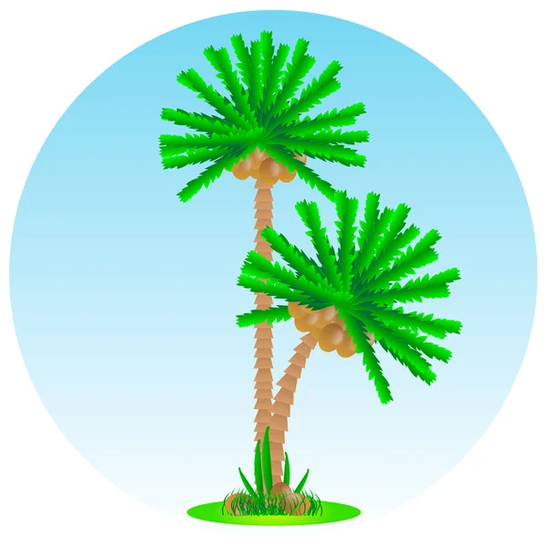 Île tropicale — Image vectorielle