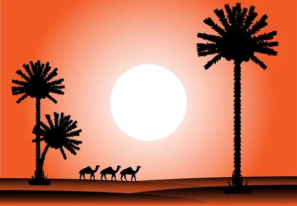 Zachód słońca na pustyni — Wektor stockowy