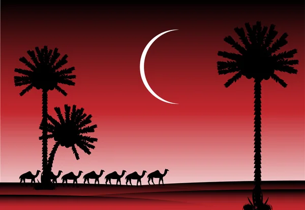 Νύχτα στην έρημο — Διανυσματικό Αρχείο