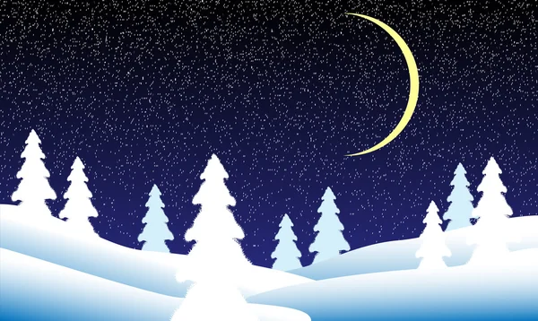 Paesaggio invernale di notte — Vettoriale Stock