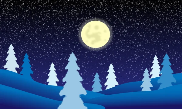 Winterlandschaft bei Nacht — Stockvektor