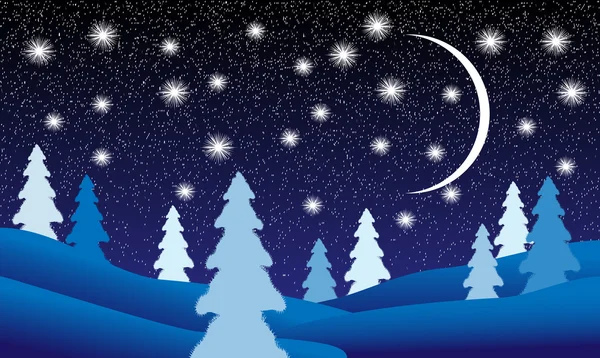 Paysage hivernal la nuit — Image vectorielle