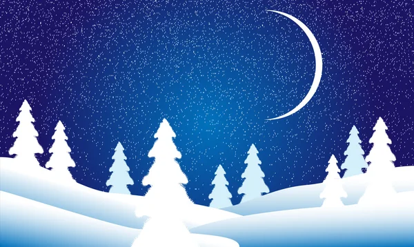 Χειμερινό τοπίο τη νύχτα — Διανυσματικό Αρχείο