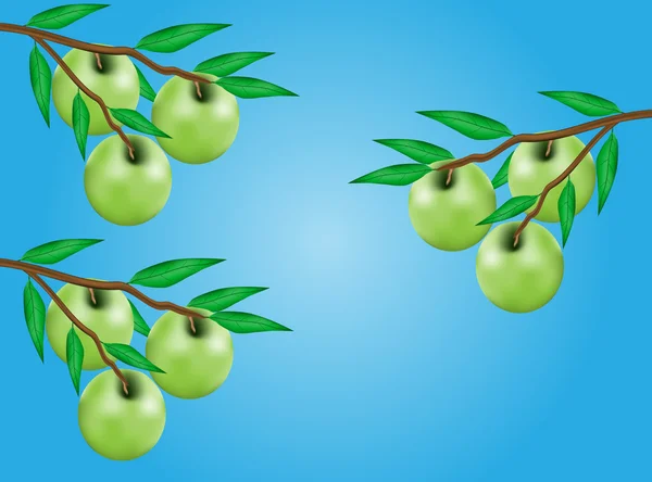 Äpfel auf Ästen — Stockvektor