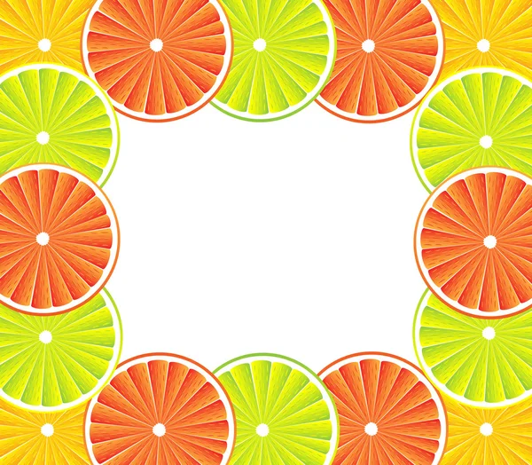 柑橘系の果物の背景 - ベクトル — ストックベクタ