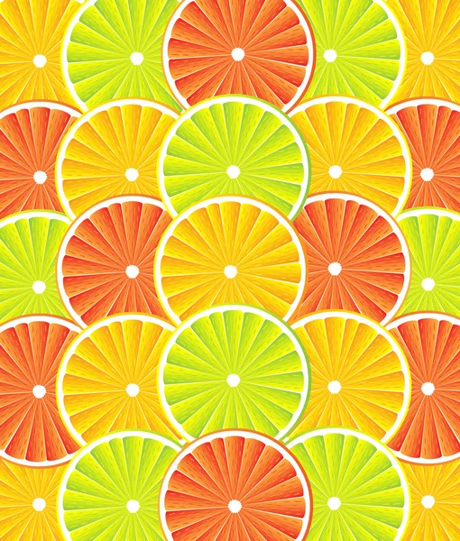 柑橘类水果背景-矢量 — 图库矢量图片