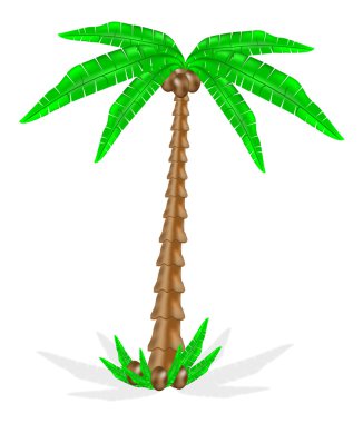 Palm tree clipart