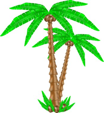 Palm tree clipart