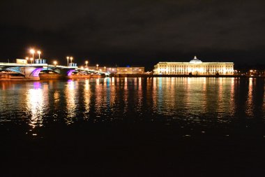 Night view of Neva river in St Petersburg clipart