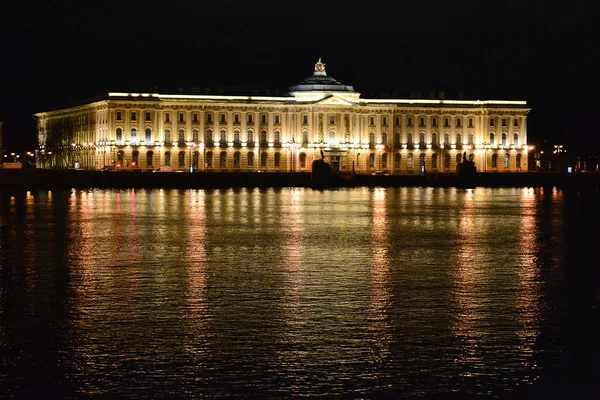 艺术的学院在圣彼得堡的夜景 — 图库照片
