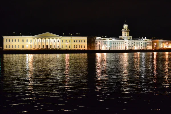 Nacht uitzicht van de Universiteit embankment in Sint-Petersburg — Stockfoto