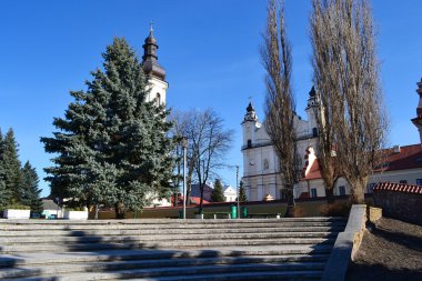 View of the old part of Pinsk clipart