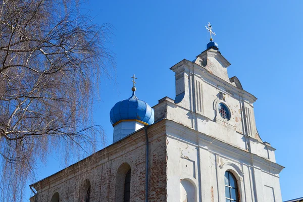 Sobór w starej części diecezji Pińskiej — Zdjęcie stockowe