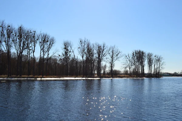 川の景色を望む日当たりの良い春の日に ping を実行します。 — ストック写真