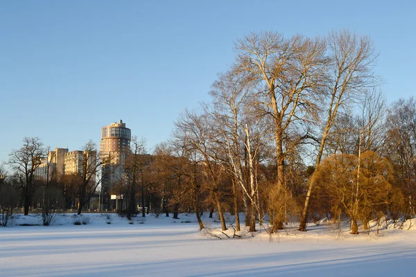 Winter park — Stockfoto