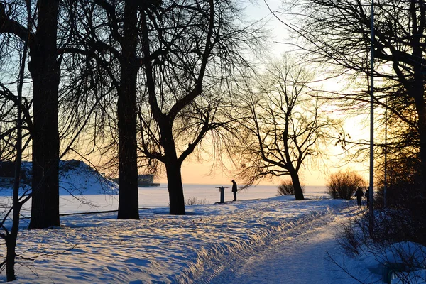 Χειμερινό πάρκο στο ηλιοβασίλεμα — Φωτογραφία Αρχείου