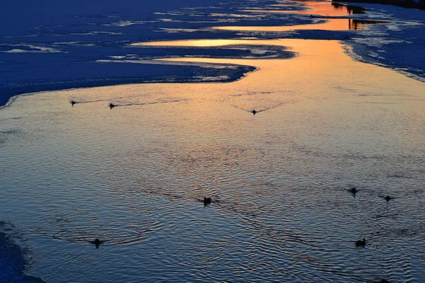 Winter Sonnenuntergang Wasser Hintergrund — Stockfoto