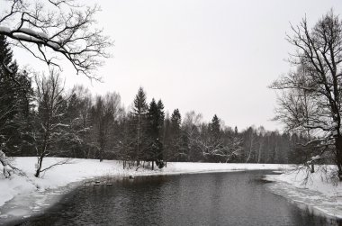 gatchina Park'taki kış