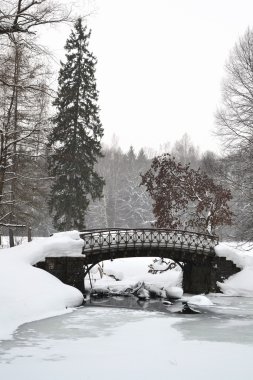 Park 'taki eski köprü.