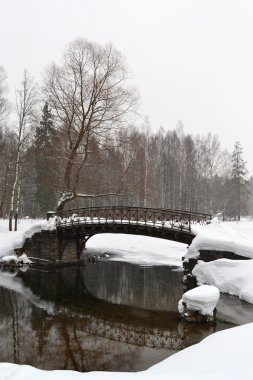 Park 'taki eski köprü.