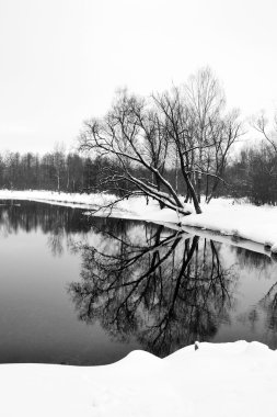 gatchina Park'taki kış