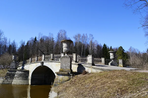 Bron genom floden slaviska i pavlovsk park. — Stockfoto