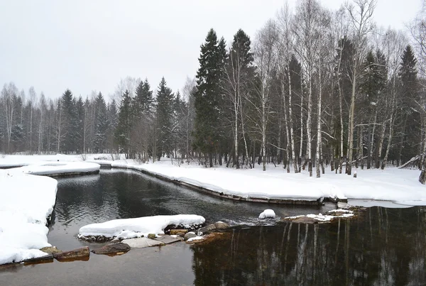 gatchina Park'taki kış