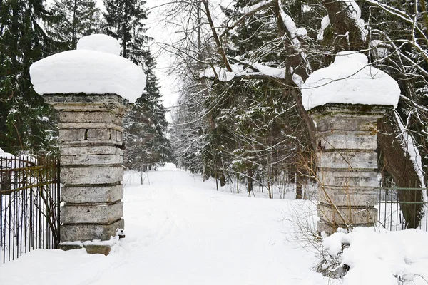Zima w parku gatchina — Zdjęcie stockowe