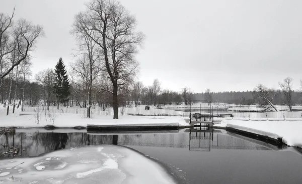冬天在 gatchina 公园 — 图库照片