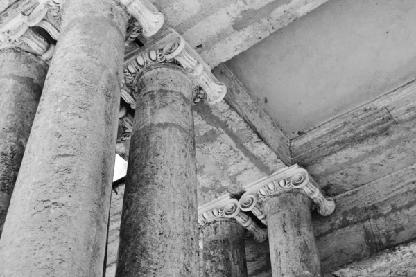Columns. Black and white.