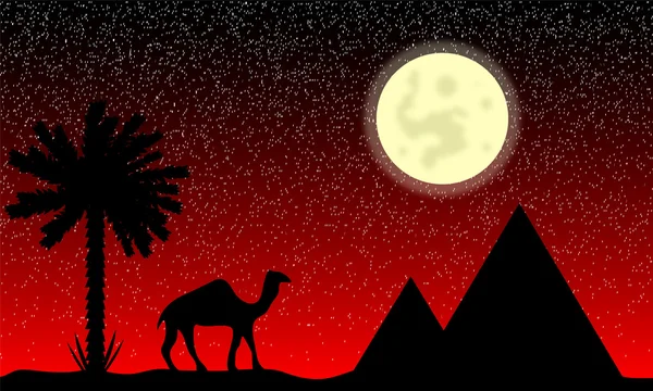 Ночь в Египте — стоковый вектор