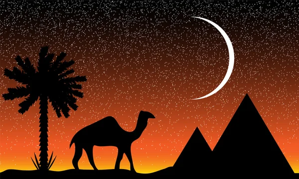 Natt i Egypten — Stock vektor