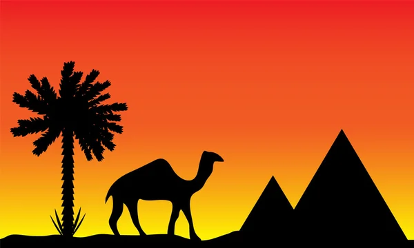 Coucher de soleil en Egypte — Image vectorielle