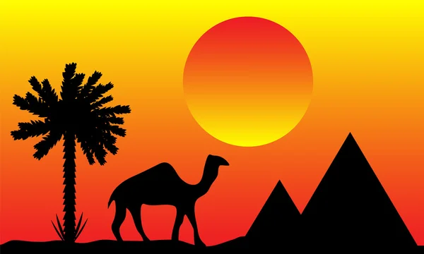 Pôr do sol no Egito —  Vetores de Stock