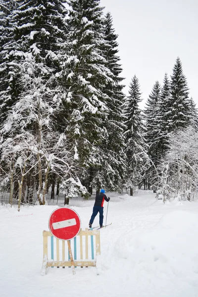 Skier in the winter forest — Stock Photo, Image
