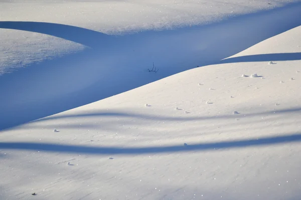 新雪の背景 — ストック写真
