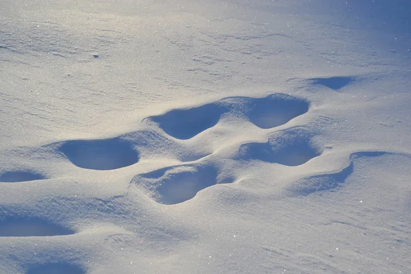 Фото свежего снега — стоковое фото