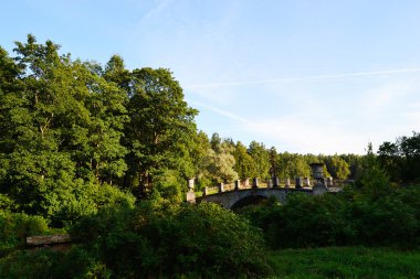 Park'da pavlovsk