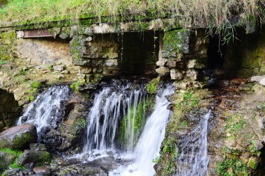 Small waterfall in park, Pavlovsk clipart