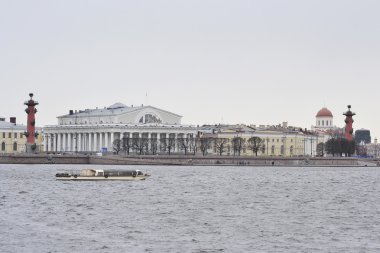 ok Vasilevski Adası, st.petersburg,