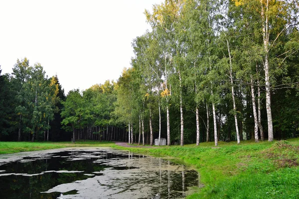 Park in Pawlowsk — Stockfoto