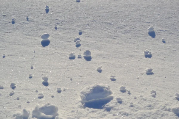 Свежий снежный фон — стоковое фото