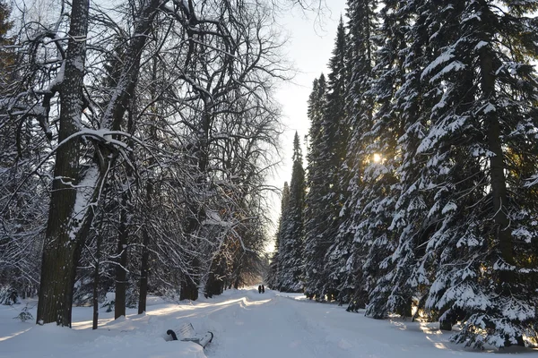 겨울 골목 — 스톡 사진