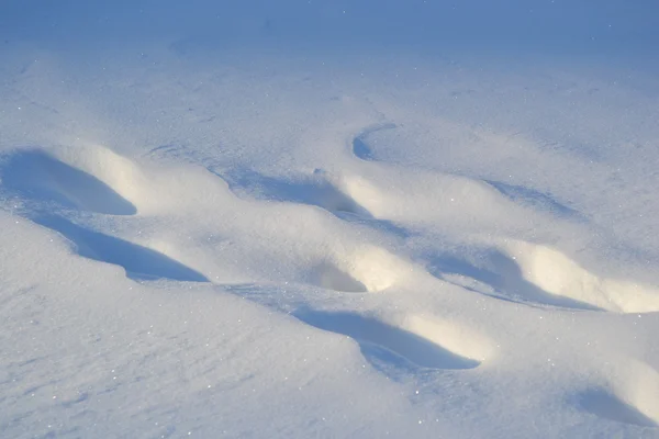 Η φωτογραφία του φρέσκο χιόνι — Φωτογραφία Αρχείου