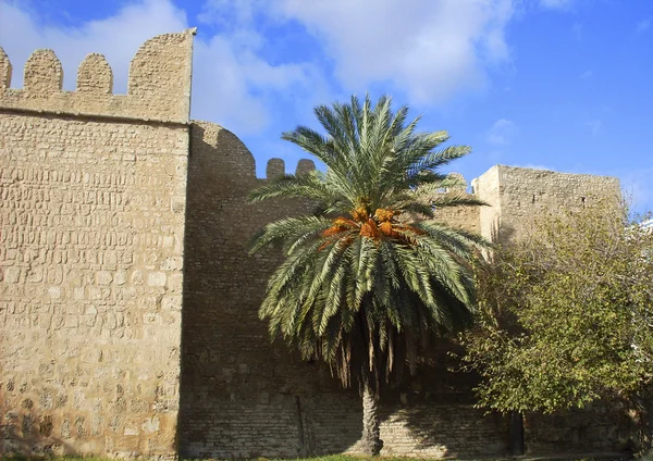 突尼斯，堡垒在商量 — 图库照片