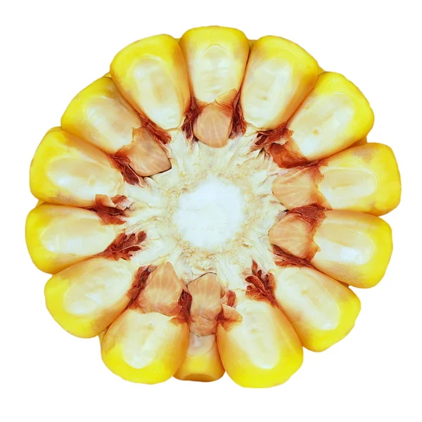 白い背景の上の壊れたトウモロコシの穂軸 — ストック写真