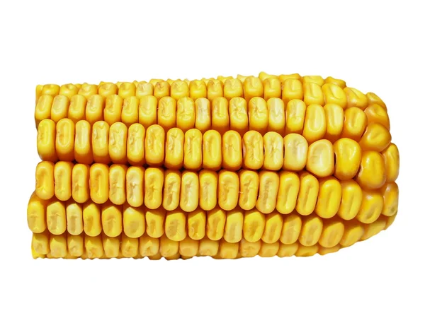 Pannocchia di mais isolato su sfondo bianco — Foto Stock