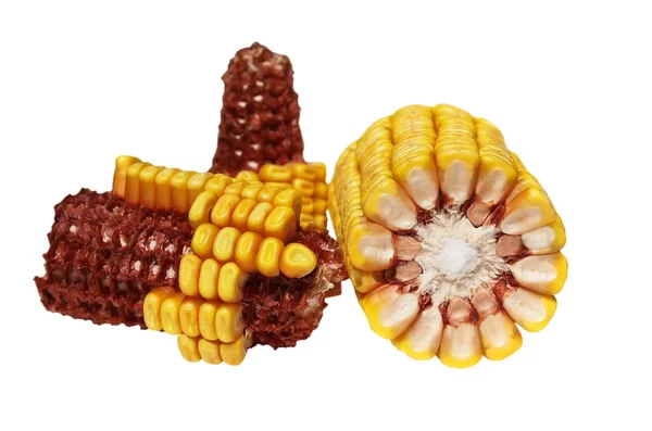 Pannocchie di mais isolato su sfondo bianco — Foto Stock