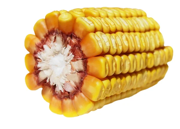 Кукурудзяний коб ізольований на білому тлі — стокове фото